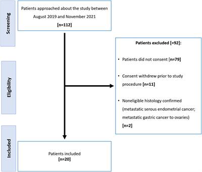 18F-DCFPyL PET/CT in advanced high-grade epithelial ovarian cancer: A prospective pilot study